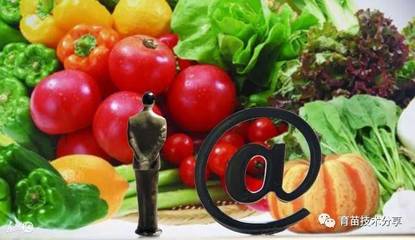 舌尖上的變革 食品互聯網銷售如何重塑新農業生態