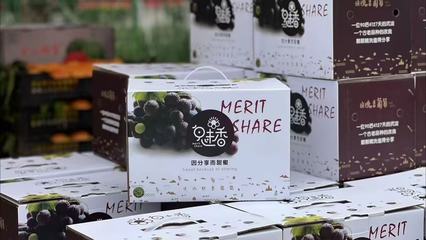 從大學(xué)生到“葡萄王子” 周新杰的鄉(xiāng)村振興致富經(jīng)